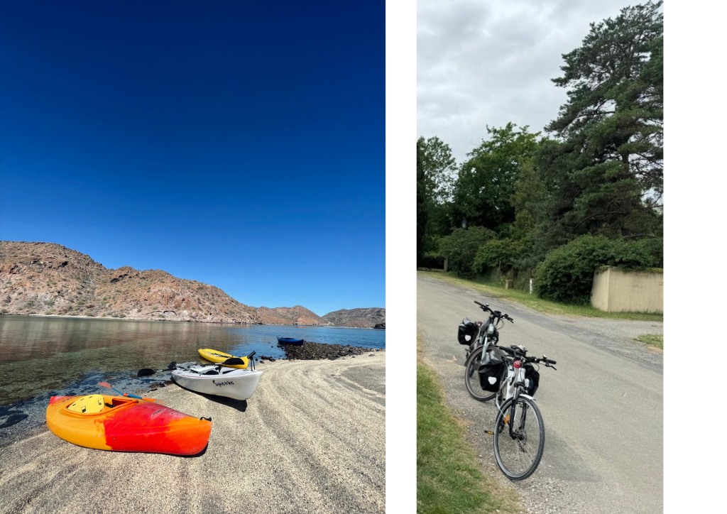 Alquileres de bicicletas y canoas.